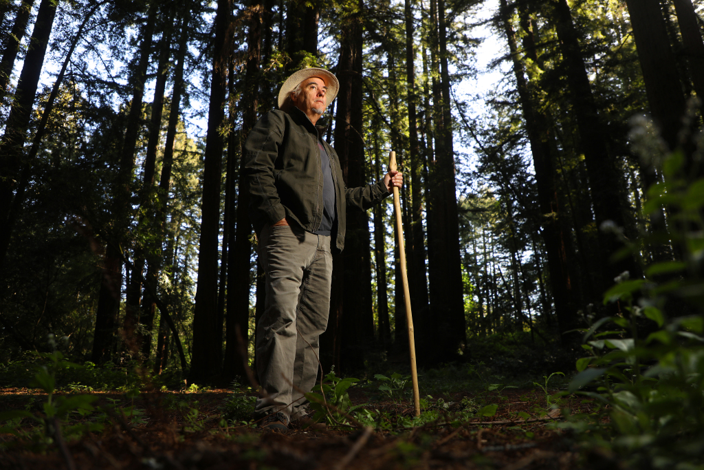 Forest bathing: How to immerse yourself in nature during
COVID-19 1