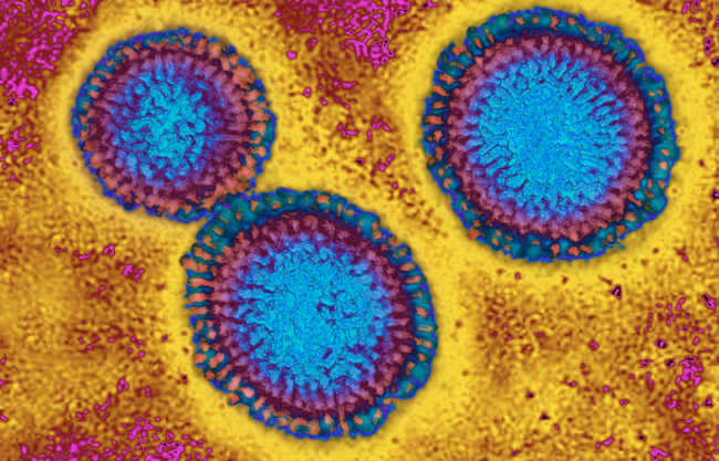 Public Health Officials Brace For Deadliest Flu Season In
Recent Memory As COVID-19 Supercharges Risk 1