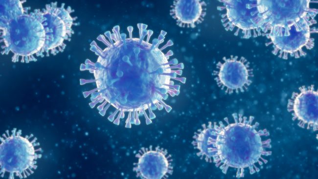 "This Is Not Just Accidental": How One Coronavirus Mutation
Helped The Virus Conquer The Globe 1