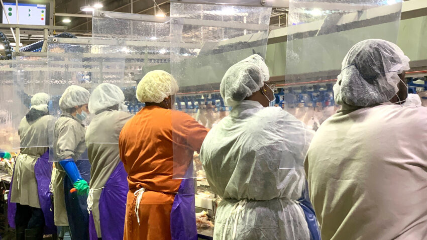 Hundreds test positive for COVID-19 at Tyson Foods plant in
Arkansas 1