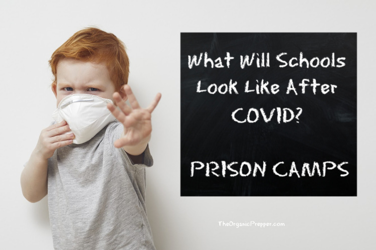 CREEPY PROPOSAL: GOVERNMENT’S PLANS TO “TRACK” COVID-19 AT
SCHOOLS 1