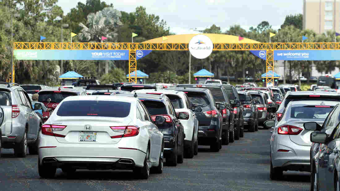 Florida Officials Spar Over Rising COVID-19 Cases 1