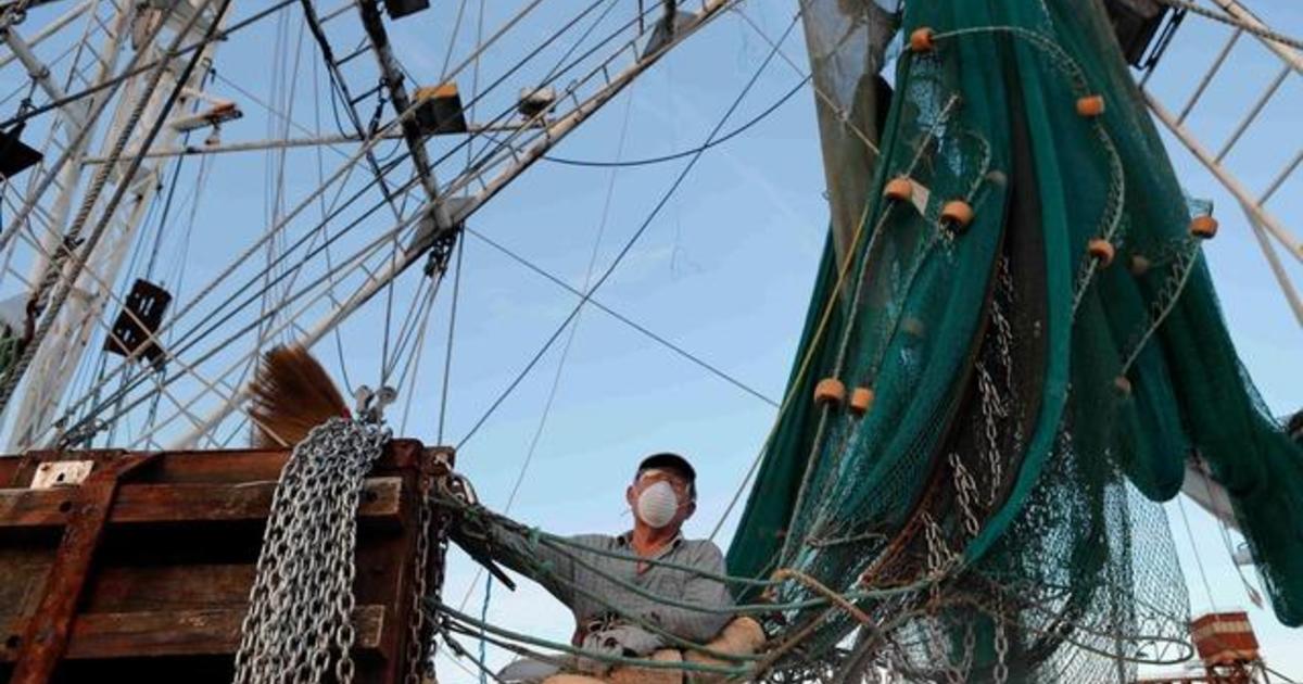 Farming and fishing among U.S. industries hardest hit by
coronavirus lockdowns 1
