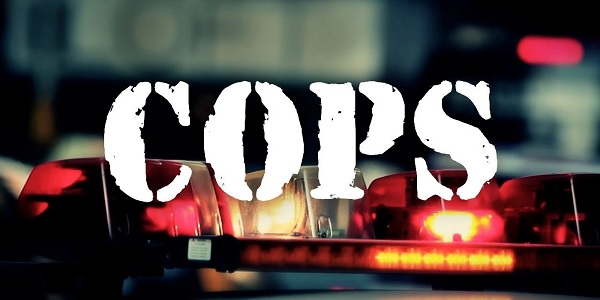 'Bad boys, they've come for you!' Protests kill 'Cops' show
after 32 seasons 1