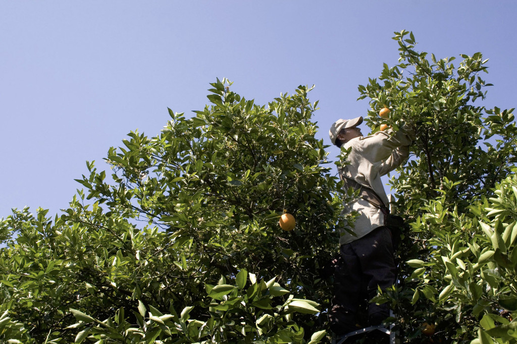 Florida Gov. blames coronavirus rise on ‘overwhelmingly
Hispanic’ workers 1