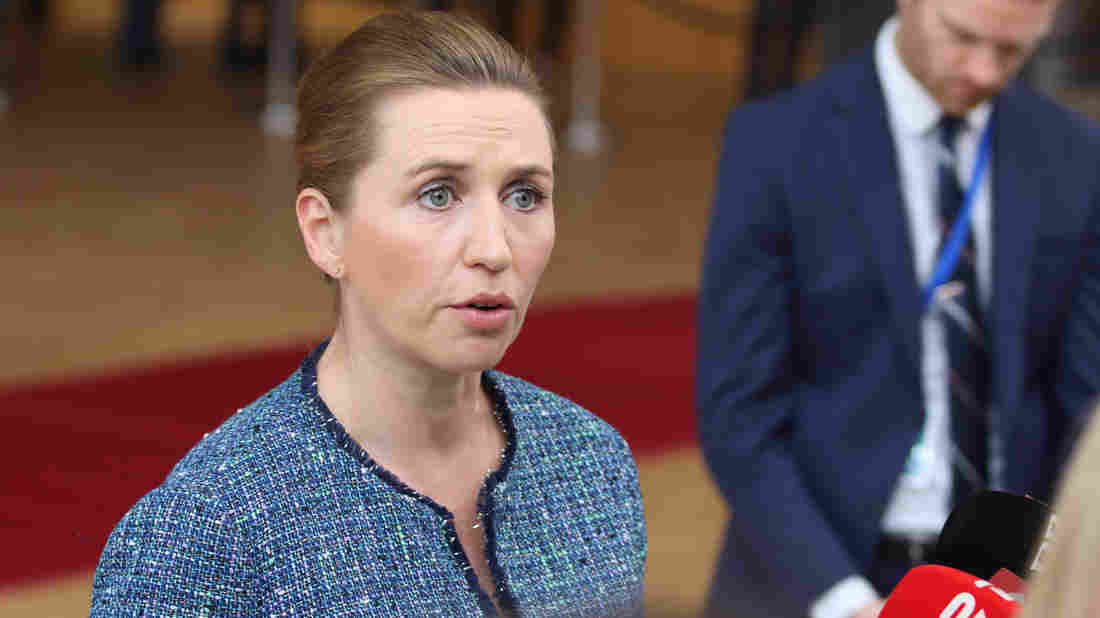 Danish Prime Minister Postpones Wedding For EU Coronavirus
Meeting 1