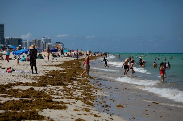Florida reports more than 4,000 new COVID-19 cases, another
record 1