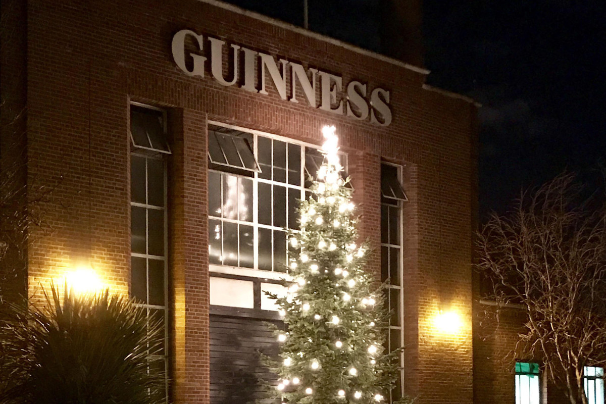 Unsold Guinness beer used to fertilize Christmas trees
during lockdown 1