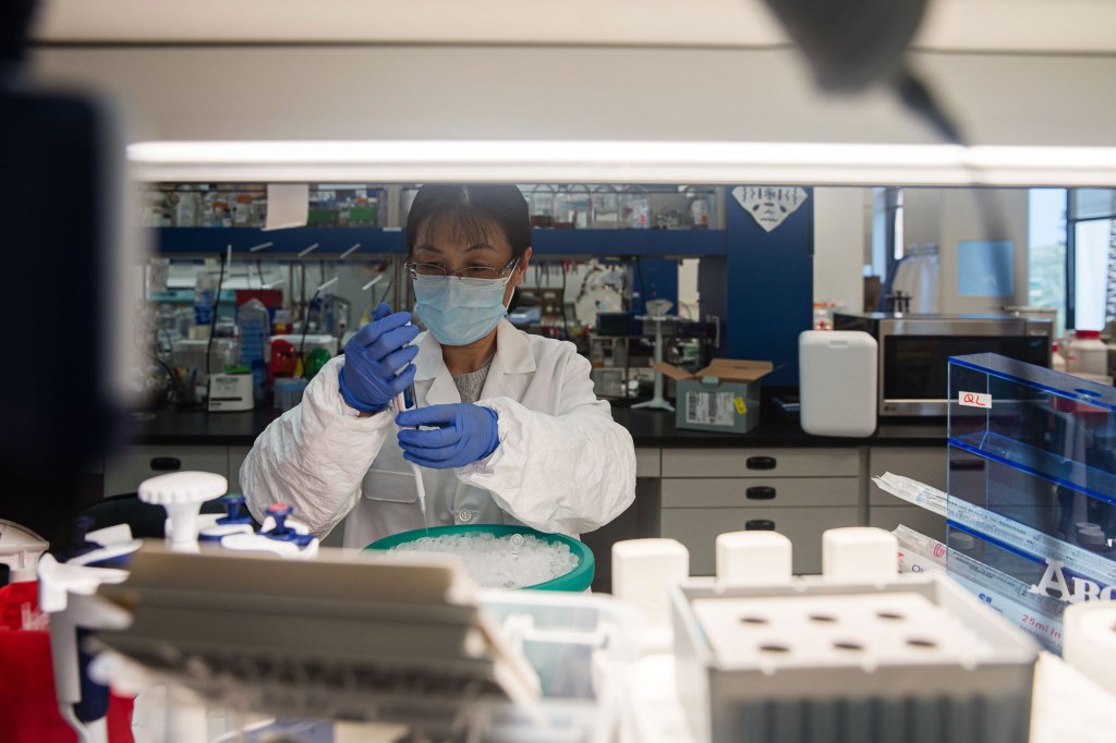 Gene study suggests coronavirus came to California multiple
times 1
