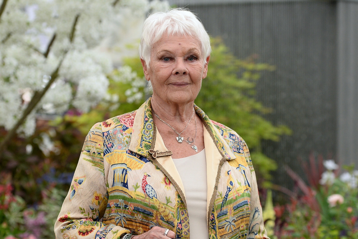 TikTok is saving Judi Dench’s life during coronavirus
lockdown 1