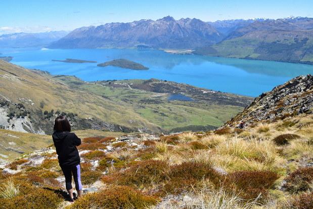 New Zealand Ends COVID-Free Streak After Symptomatic
Travelers Left Quarantine Early 1