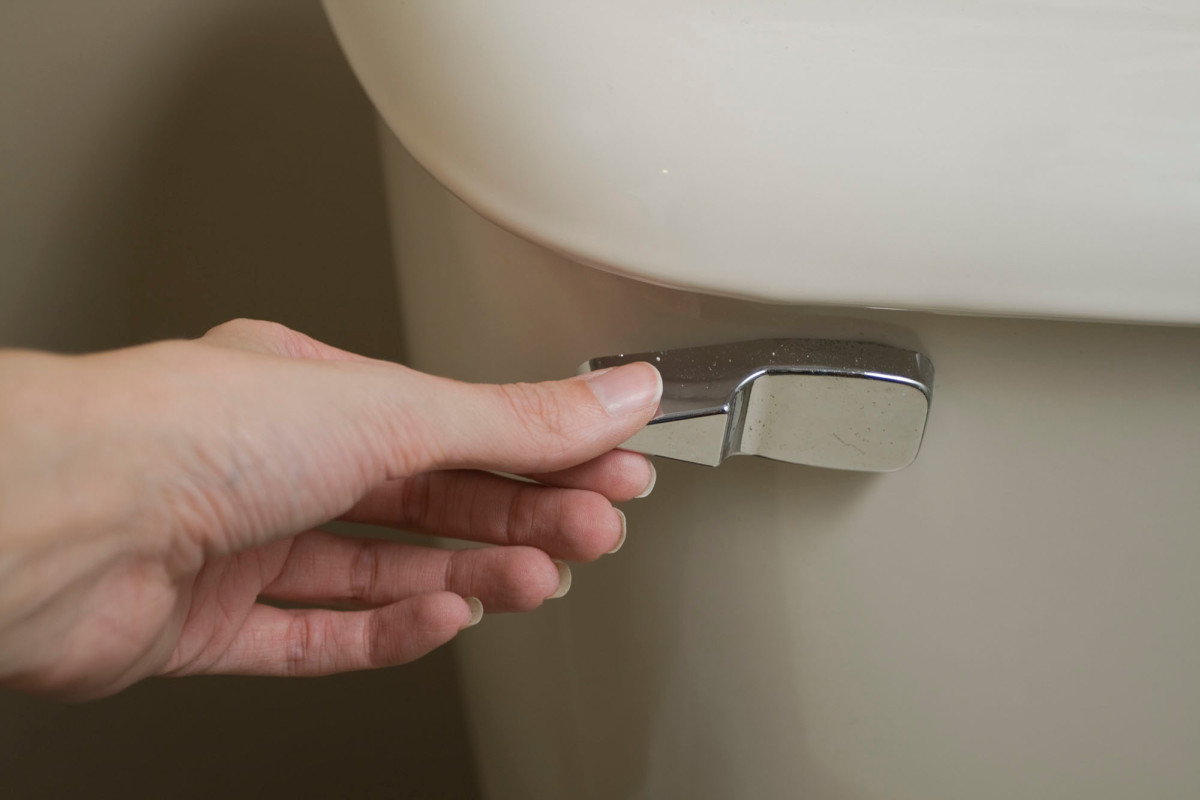 Flushing the toilet can spray coronavirus particles in the
air: study 1