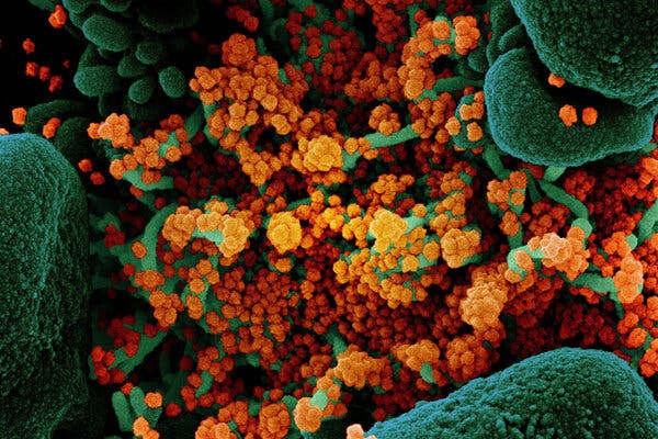 The Coronavirus Could Dodge Some Treatments, Study
Suggests 1