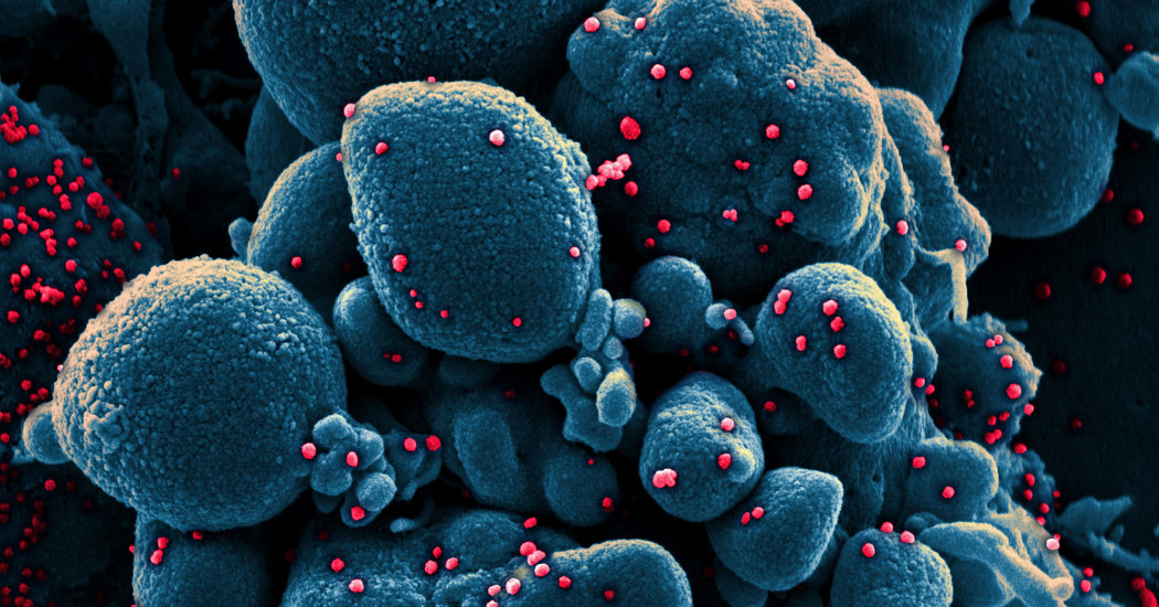 Did a Mutation Help the Coronavirus Spread? More Evidence,
but Lingering Questions 1