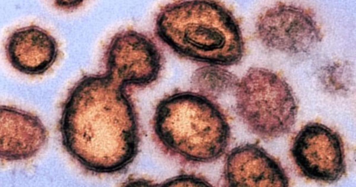 239 scientists warn World Health Organization of airborne
transmission risks from coronavirus 1