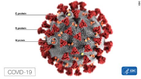 How the Novavax Covid-19 vaccine works 1