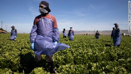 CDC study: More Hispanic workers impacted by Covid-19 in
food processing and agriculture 1