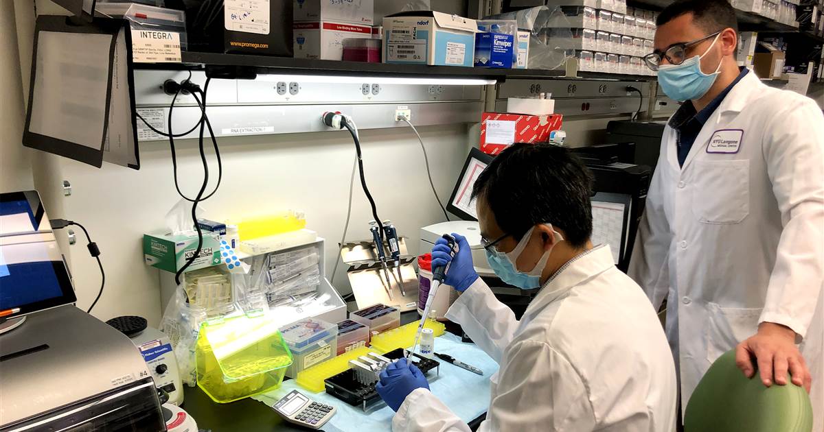 Inside the detective-style hunt for missed COVID-19
cases 1