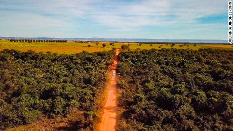 Coronavirus and deforestation rip through Brazil's people
and the world's lungs 1