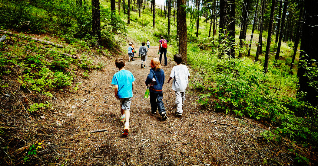 The Coronavirus Infected Hundreds at a Georgia Summer
Camp 1