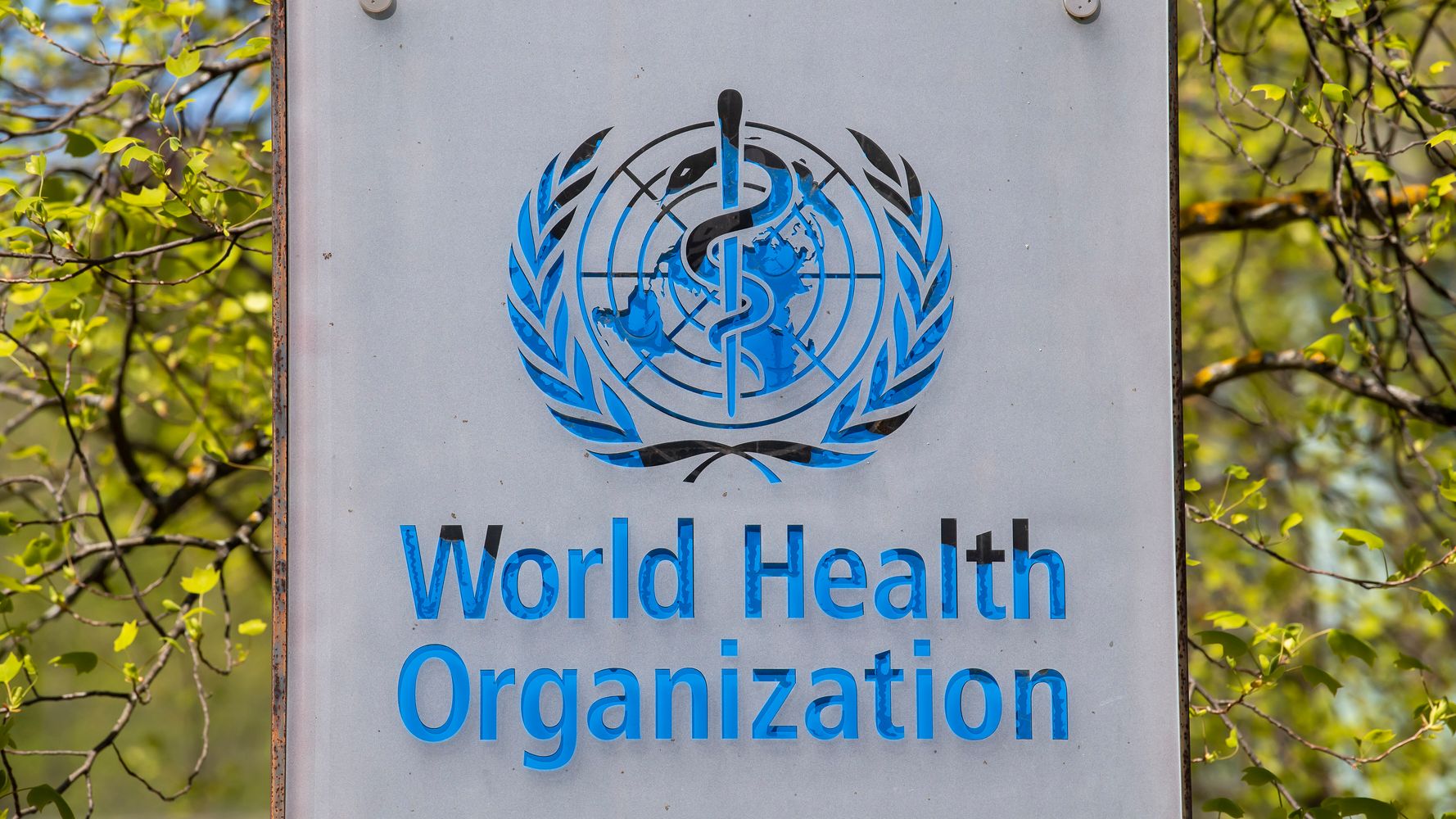 Scientists Plan To Urge WHO To Take Airborne Spread Of
Coronavirus More Seriously 1