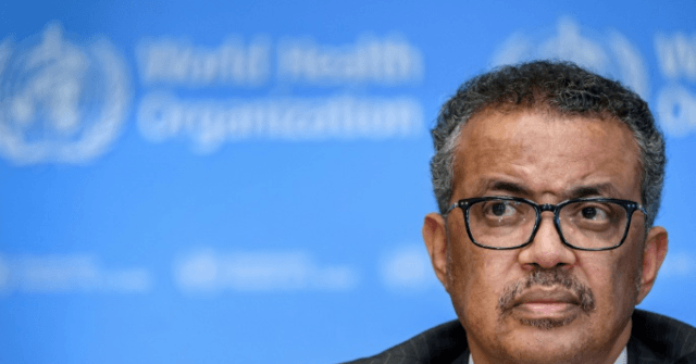 China Demands W.H.O. Probe Coronavirus ‘Origins’ in United
States 1