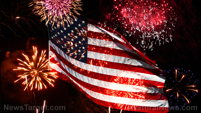 Make your fake protest sign for July 4th so the Dopey
Democrats can’t make attending fireworks gatherings ILLEGAL 1