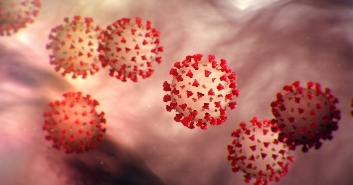 Coronavirus spreads quickly among household members, CDC
report finds 1