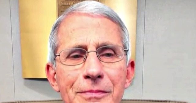 Fauci: 'Beaches Are Fine' if You Maintain Distance, So Are
Small, Outdoor Gatherings with Masks and Handwashing 1