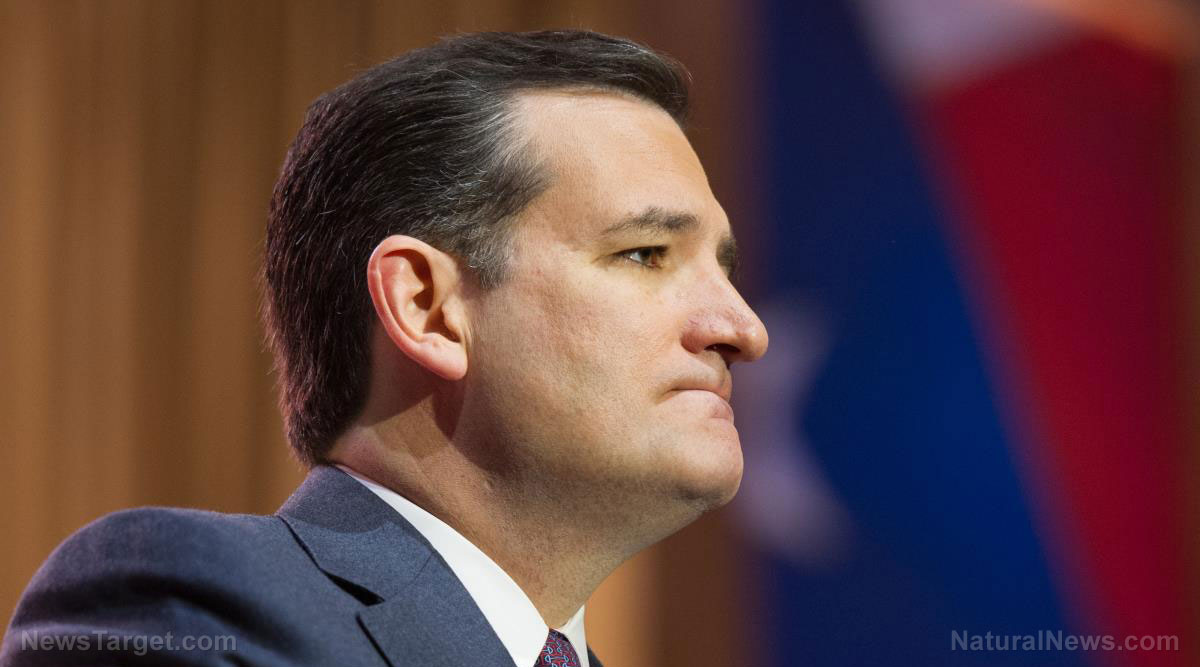 Pelosi "shoveling money to her friends" with phony
coronavirus "relief" bills, warns Ted Cruz 1