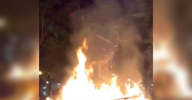VIDEO: Rioters Set Fire to Historic Thompson Elk Fountain in
Portland 1