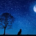 Massive Protests Will Rock Our Cities On July 4th As A
Penumbral Lunar Eclipse Is Visible Above America 13