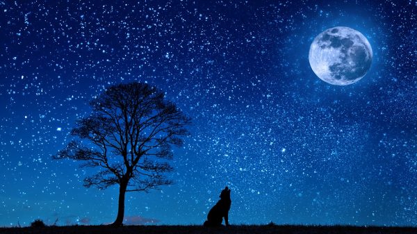 Massive Protests Will Rock Our Cities On July 4th As A
Penumbral Lunar Eclipse Is Visible Above America 1