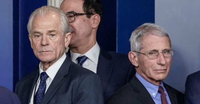 Peter Navarro: Dr. Anthony Fauci Was Wrong During
Coronavirus Fight 1