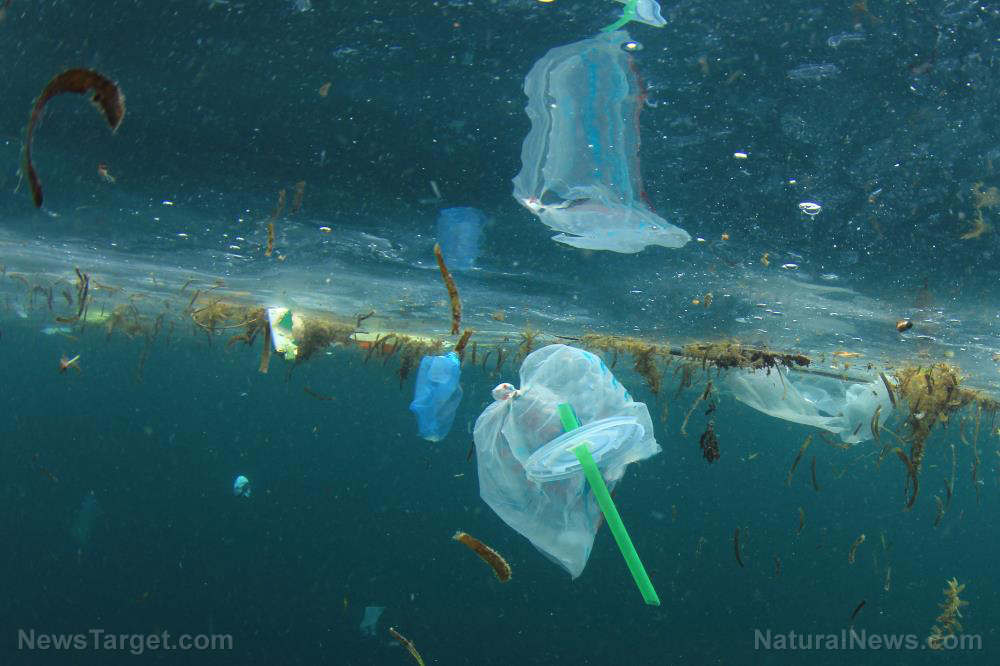 Face masks and other equipment meant to protect against
coronavirus are polluting our oceans 1
