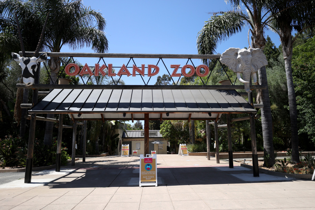 Coronavirus: Oakland Zoo to reopen, outdoor dining can
resume in Alameda County 1