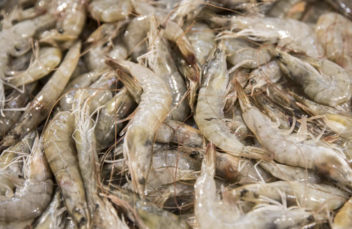 China Says Samples Of Imported Salmon Tested Positive For
COVID-19 1