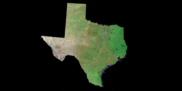4 points to understand the COVID-19 surge in Texas 1