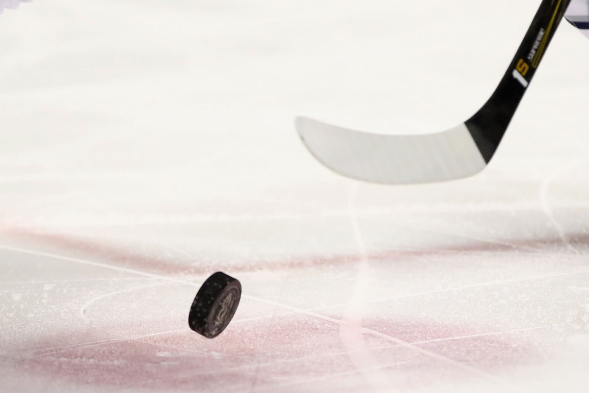 AHL pushes back start of 2020-21 season over coronavirus
concerns 1