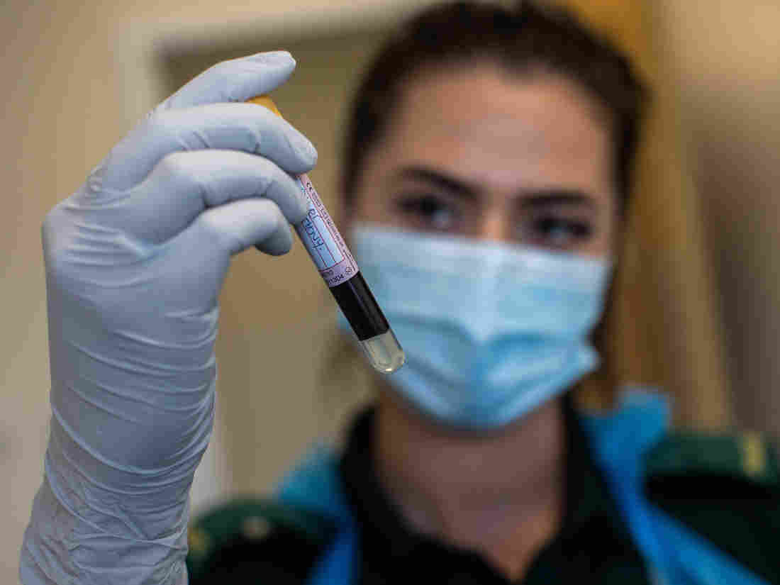 How Long Will Immunity To The Coronavirus Last? 1