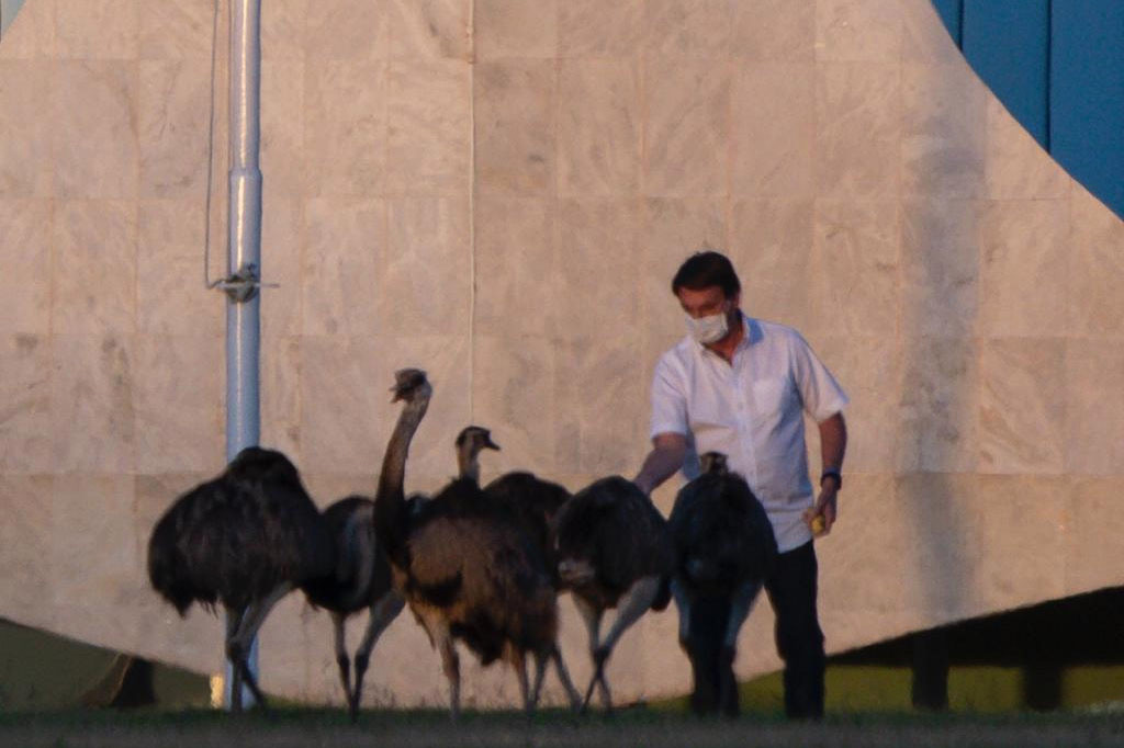 Brazil’s Bolsonaro bit by large bird after reflecting on
‘horrible’ quarantine 1