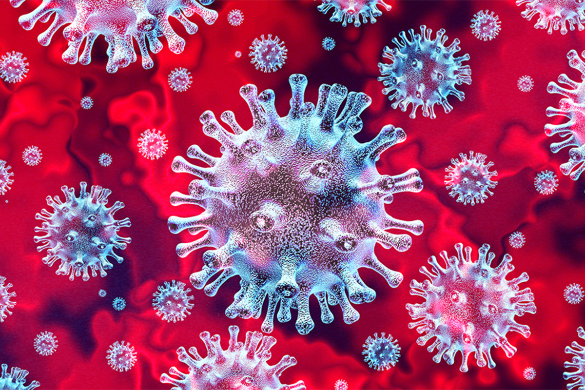 Florida boy, 11, becomes state’s youngest coronavirus
victim 1
