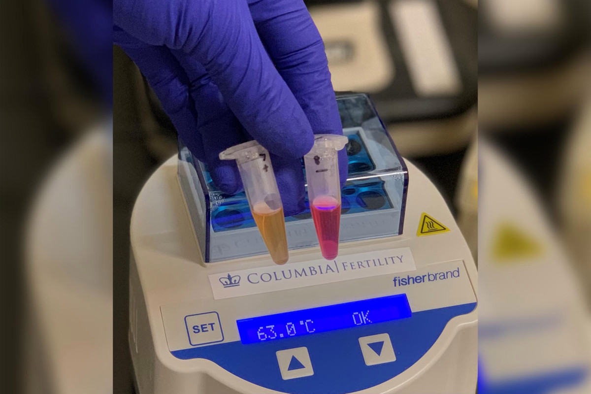 NYC doctor develops rapid, noninvasive COVID-19 test 1