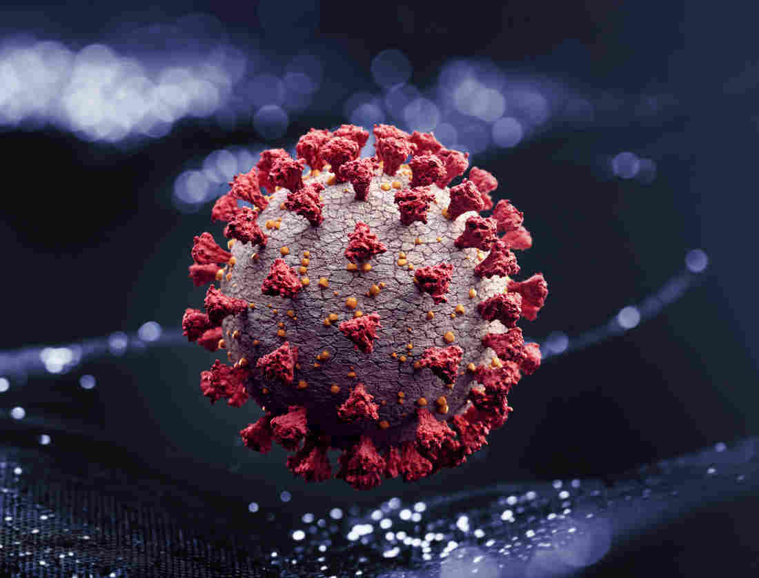 Why The Novel Coronavirus Has The Power To Launch A
Pandemic 1