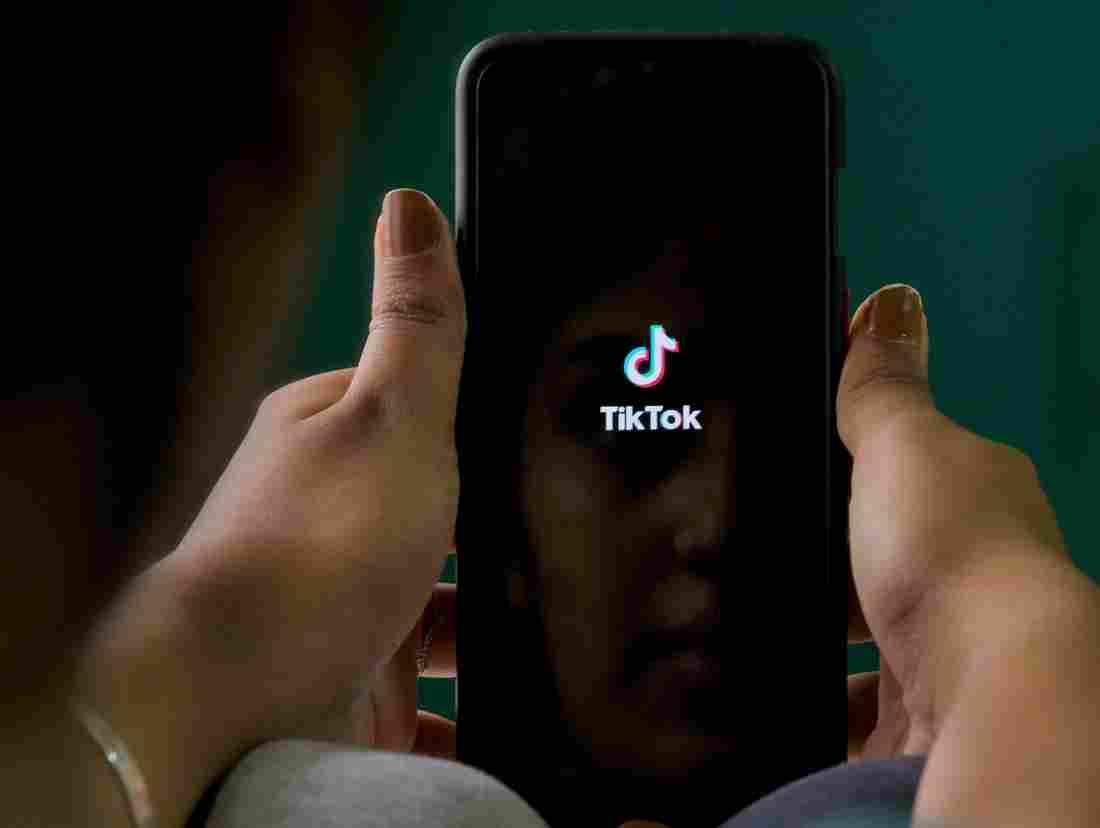 TikTok CEO: Facebook Is Making 'CopyCat' Service 'Disguised
As Patriotism' 1