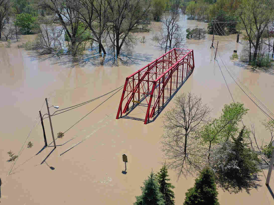 'We Were Treated Worse Than Animals': Disaster Recovery
Workers Confront COVID-19 1