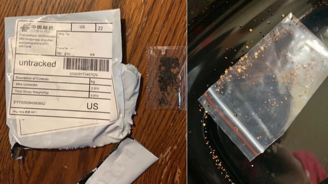 SEED WARFARE? Seed packages that appear to be from China are
flooding the USA; other similar packages contain fake US dollar
currency or pandemic masks 1