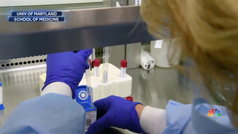 What's Plan B if there's no COVID-19 vaccine? 1
