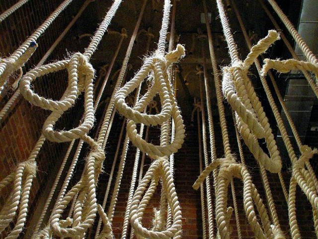 Execution of Iran Dissidents Stopped After Trump Joins
Twitter Protest 1