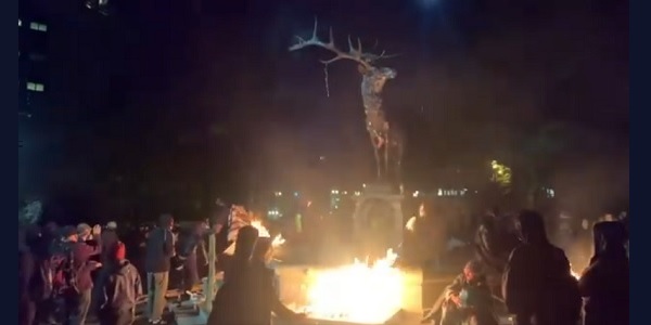 Portland to remove downtown elk statue after protesters
burned it 1